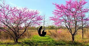 Hobart Urban Nature Preserve