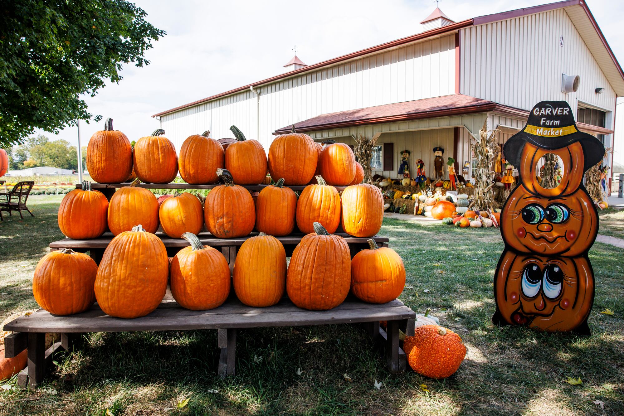 Free & Low-Cost Fall Fun Guide 2025