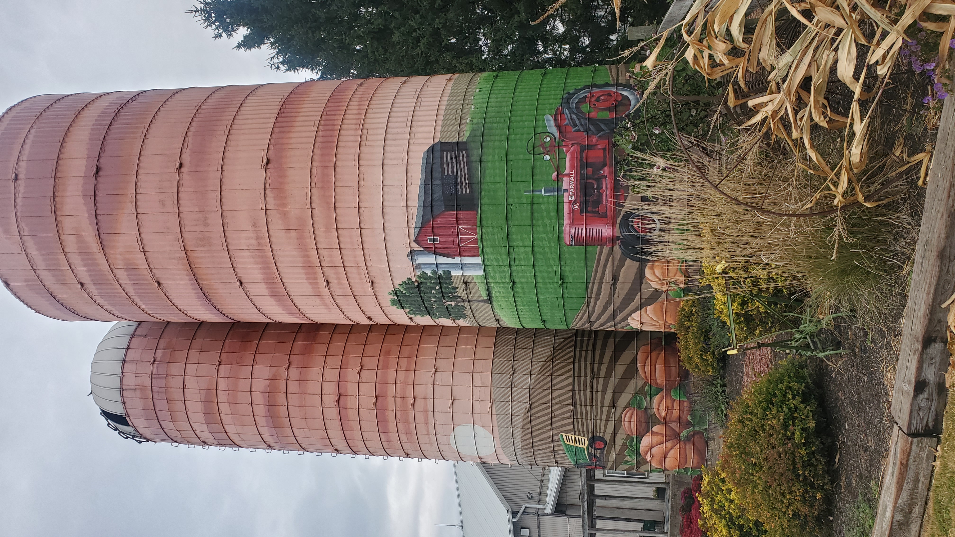 Barn-n-Bunk Farm Market