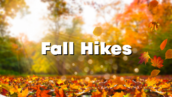 Fall Hikes