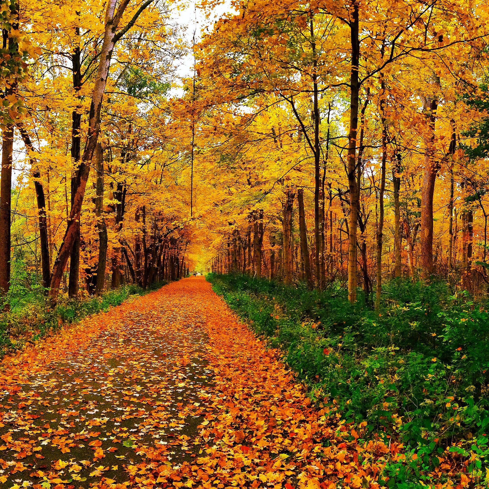 Four of the Best Fall Color Hikes Along The Riverway - Great Miami Riverway